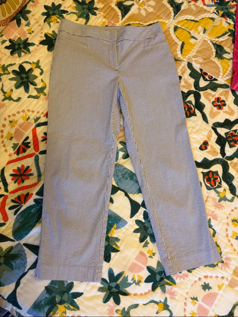 Ann Taylor Factory Blue & White Striped Pants